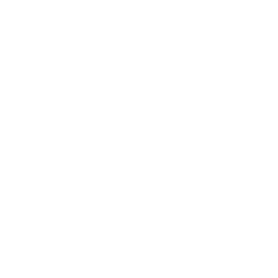 Apexx Digital Logo